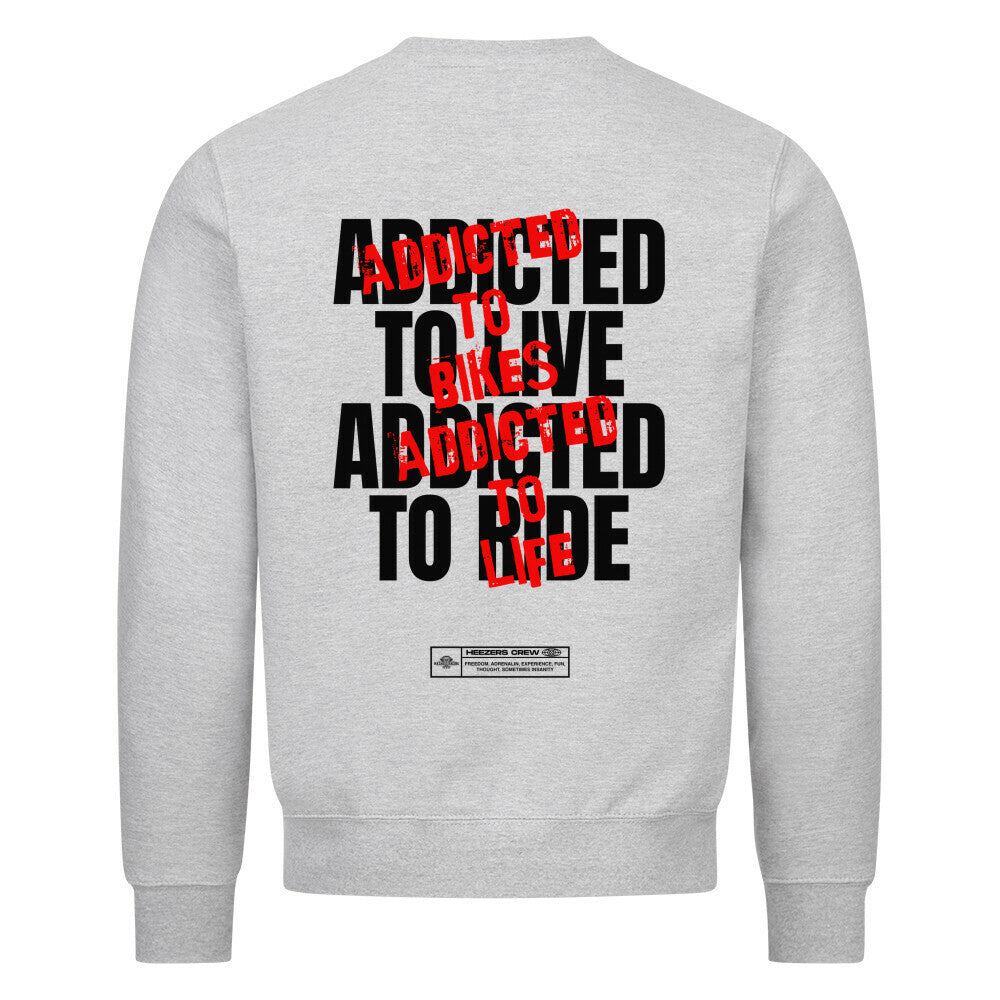 Ride Addicted Herren Sweatshirt von Mazares Racing mit großem typografischen Backprint "Addicted To Ride – Addicted To Life" und kleinem Ride Addicted Brustprint. Klassisches Sweatshirt mit normaler Passform aus innen gebürsteter Baumwollmischung – ideal für Motorradfahrer und Biker im Alltag sowie nach der Tour. heather grey